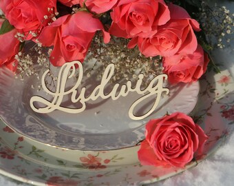 May include: A white porcelain plate with a floral pattern and a wooden name card with the name "Ludwig" written in cursive. The plate is surrounded by pink roses.