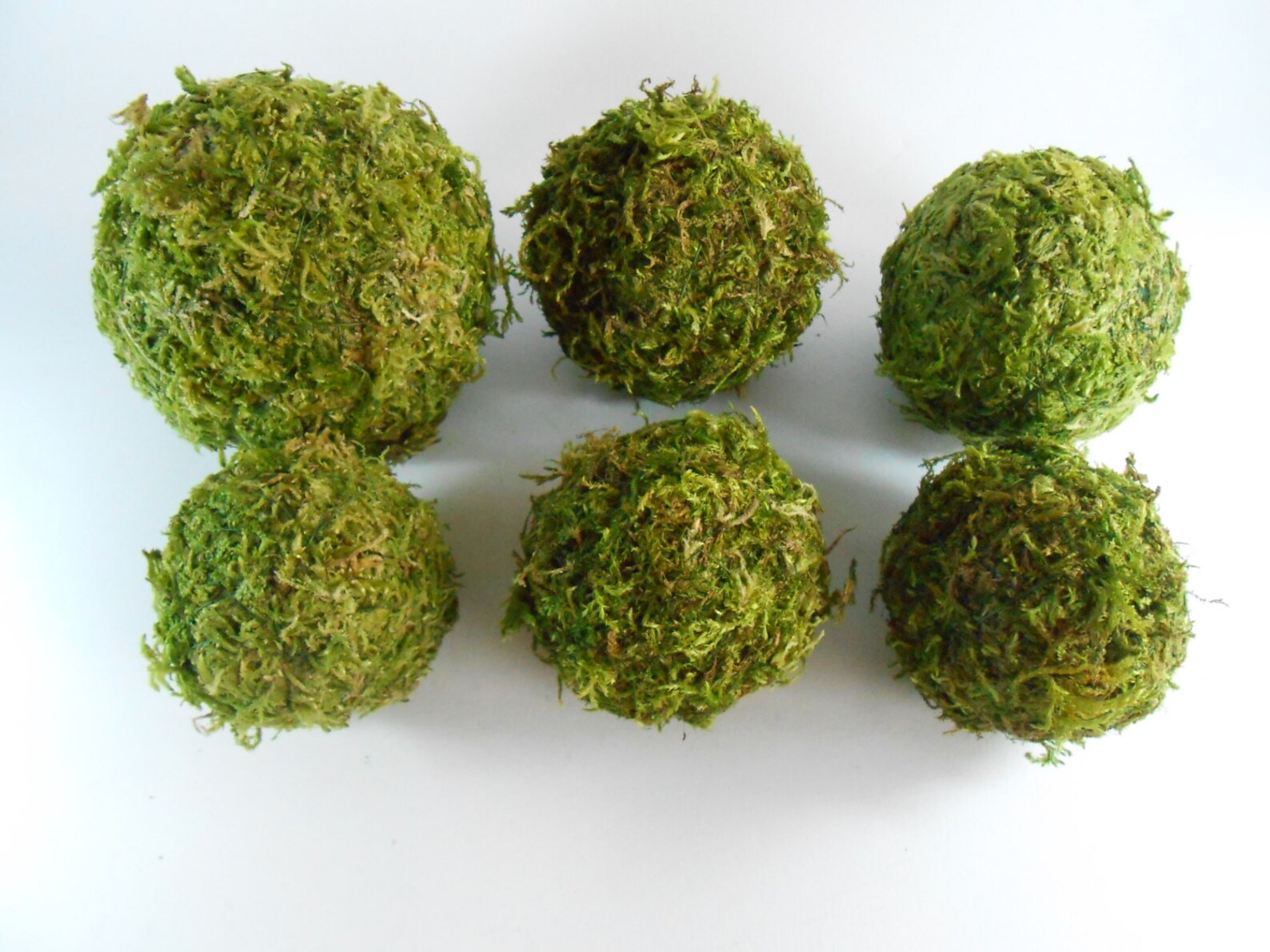 Moss Balls Set of 6 Rustic Decor Moss Covered Balls Etsy