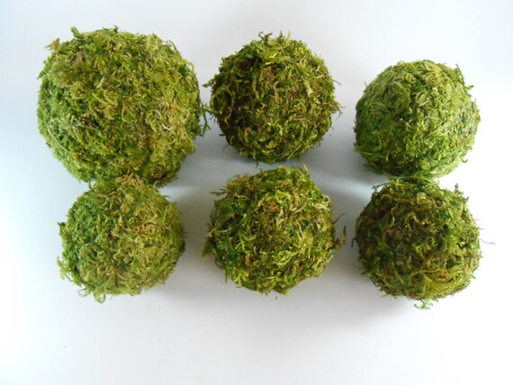 Moss Balls Set Of 6 Rustic Decor Moss Covered Balls Etsy