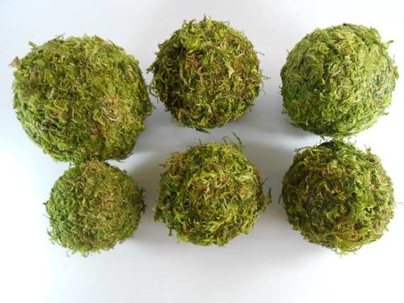 NEW GREEN MOSS Balls, 4/6/8/ Decorative Balls, Greenery Decor Ideas, Green  Bawl Filler, Moss Decoration, Green Table Decor 
