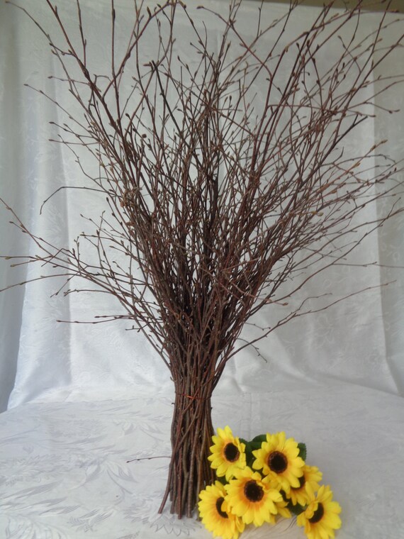 Bundle Of Birch Twigs Birch Bark Wedding Decor Birch Tree Etsy