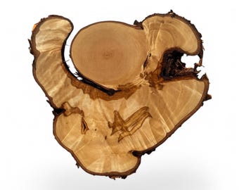 1 Círculos de Madera, Rebanadas de Madera, Piezas de Madera Rústica para Bricolaje, Fresno, Discos de Madera para Manualidades