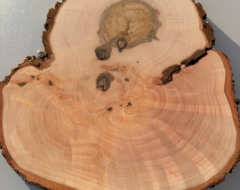 Unique alder wood slice Wooden Circles Wooden Slices Rustic Wood Slices DIY Alder Tree Unique wood slices Wood Slice Tree Slice Tree Burl