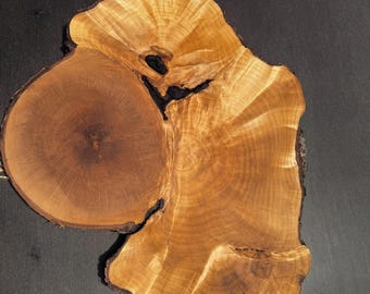 1 pieza de círculos de madera, rodajas de madera, piezas de madera rústica para bricolaje, fresno, discos de madera para manualidades