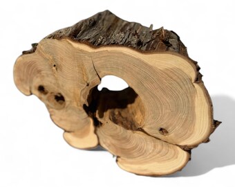 1 pieza de círculos de madera, rodajas de madera, piezas de madera rústica para bricolaje, fresno, discos de madera para manualidades