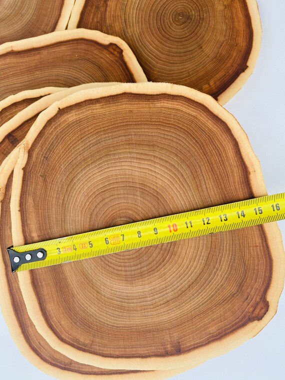 1 Solid Elm Wood Slice 10 Inch in Diameter Elm Slices Elm Elm Circles Wooden  Slices Tree Slices Wood Slices Rustic Wood Pieces Wooden Slices 