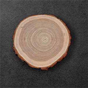 Larch Tree Slice Wood slice Wooden Circles Wooden Discs Wooden Slices Rustic Wood Slices For DIY Larch Tree Wood Discs For Craft