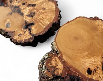 Conjunto de 3 piezas de madera únicas Rodaja grande de ABEDUL Rodajas grandes Decoración de pared de madera Centro de mesa de boda Árbol de abedul Rodajas de madera