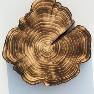 Puede incluir: Un primer plano de una rodaja de &aacute;rbol de madera con un acabado marr&oacute;n oscuro quemado. La rodaja tiene una forma natural irregular y muestra los anillos conc&eacute;ntricos del crecimiento del &aacute;rbol.