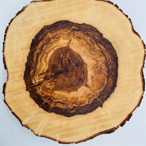 May include: A round wooden slice with a natural wood grain pattern. The center of the slice is a darker brown color, while the outer edges are a lighter brown color.