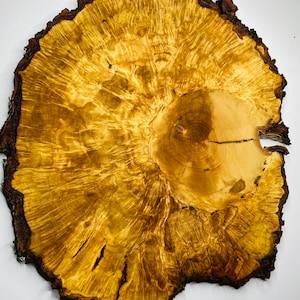 Peut inclure: Une grande tranche de bois ronde de couleur brun doré naturel. Le grain du bois est visible et présente un motif unique et tourbillonnant. Les bords de la tranche sont rugueux et irréguliers, ce qui lui donne un aspect rustique.
