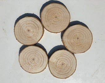 Set of 17 pine 5'' Tree Slices Wooden Circles Wooden Discs | Wooden Slices | Rustic Wood Slices For DIY | Pine Tree | Wood Discs For Craft|