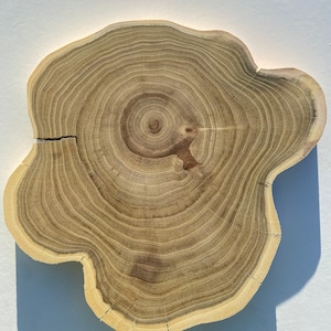 1 rodajas, discos, círculos, manualidades, decoración del hogar, decoración de mesa, utensilios de cocina, madera hecha a mano, madera, roble
