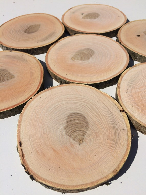 Set of 10 4 Inch 5 Inch Oak Slices Oak Oak Circles Wooden Slices Tree  Slices Wood Slices Rustic Wood Pieces Wooden Slices Natural Wood 