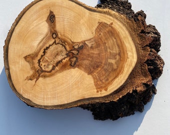 1 Cerchi in legno, Fette di legno, Pezzi di legno rustico per fai da te, Frassino, Dischi di legno per artigianato