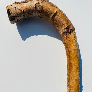 DIY Birch Walking Stick Birch sticks Rowan branches Birch sticks Birch Tree Birch tree Birch branches supply Shamanic wood