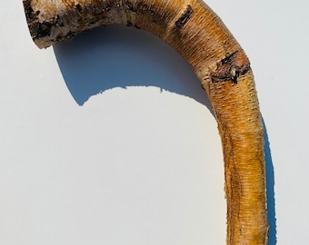 DIY Birch Walking Stick Birch sticks Rowan branches Birch sticks Birch Tree Birch tree Birch branches supply Shamanic wood