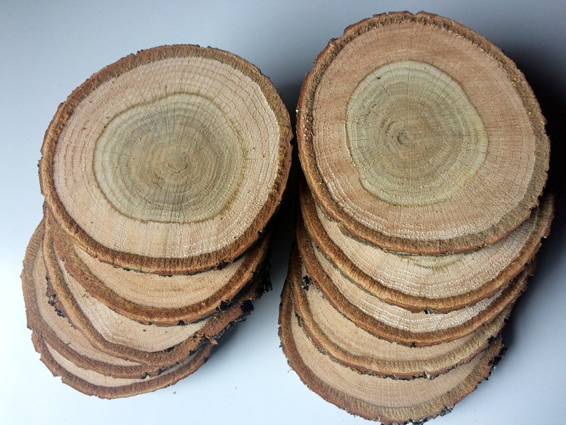 5'' Oak Slices Oak Discs Oak Circles Crafts Home Decorations Table Decoration Kitchen Tools Wooden Handmade Oak Natural image 1