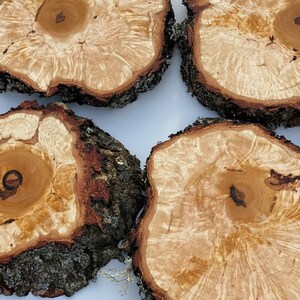 K&ouml;nnte beinhalten: Vier runde Holzscheiben mit einem nat&uuml;rlichen Holzmaserungsmuster und einer hellbraunen Farbe. Die Scheiben haben einen rauen Rindenrand und eine glatte, polierte Mitte.