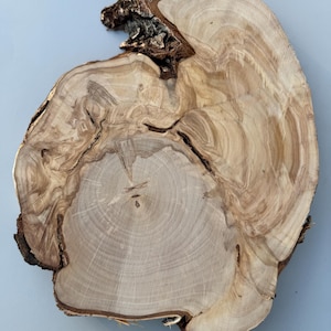 May include: A natural wood slice with a light brown colour and a unique grain pattern. The wood has a rough texture and a slightly irregular shape.