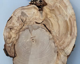 May include: A natural wood slice with a light brown color and a unique grain pattern. The wood has a rough texture and a slightly irregular shape.