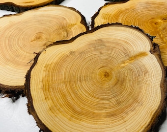 May include: Four round wooden slices with natural bark edges. The wood is light brown with visible grain patterns. The slices are arranged in a cluster on a white background.
