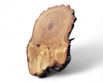 Rebanada única de ABEDUL grande de 12" | Soporte para pasteles | Rebanadas grandes | Decoración de pared de madera | Centro de mesa de boda de abedul | Soporte para pasteles grande Único