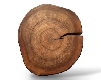 1 pieza grande de madera maciza de olmo Rodajas de olmo Olmo Círculos de olmo Rodajas de madera Rodajas de madera Rodajas de madera Rústico