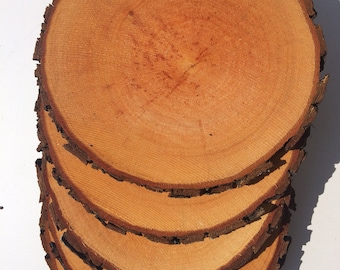 May include: Four round wooden slices stacked on top of each other. The slices are light brown with a darker brown bark edge.