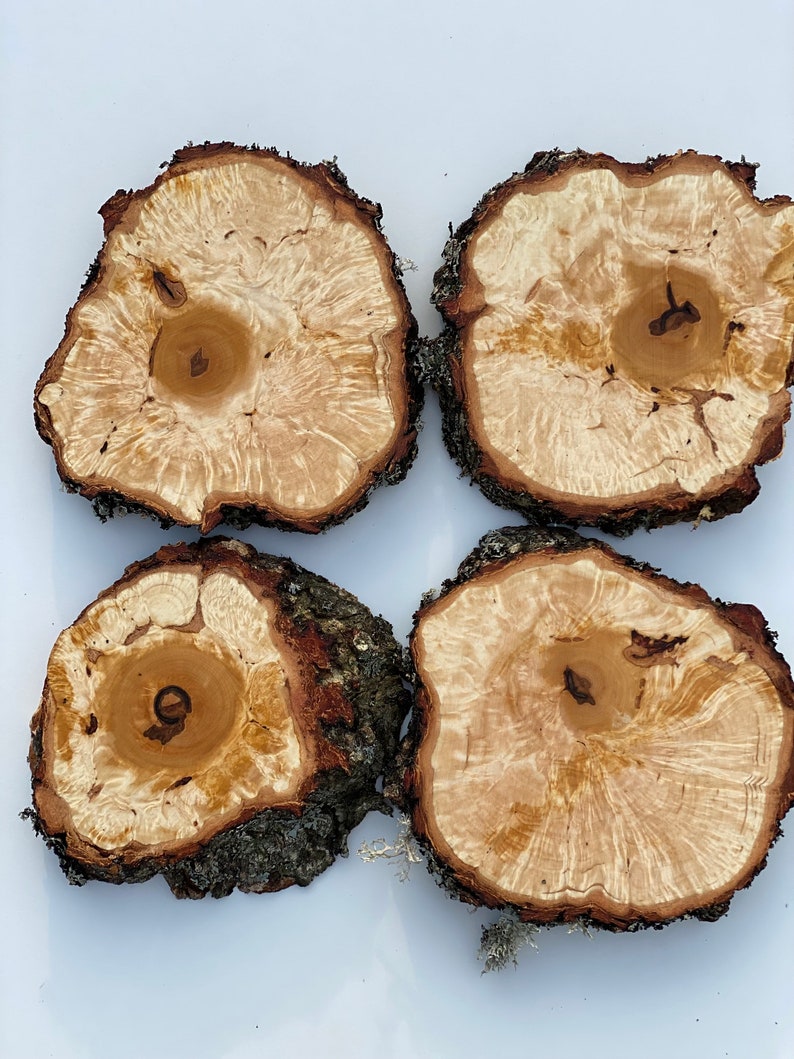K&ouml;nnte beinhalten: Vier runde Holzscheiben mit einem nat&uuml;rlichen Holzmaserungsmuster und einer hellbraunen Farbe. Die Holzscheiben haben einen rauen Rindenrand.