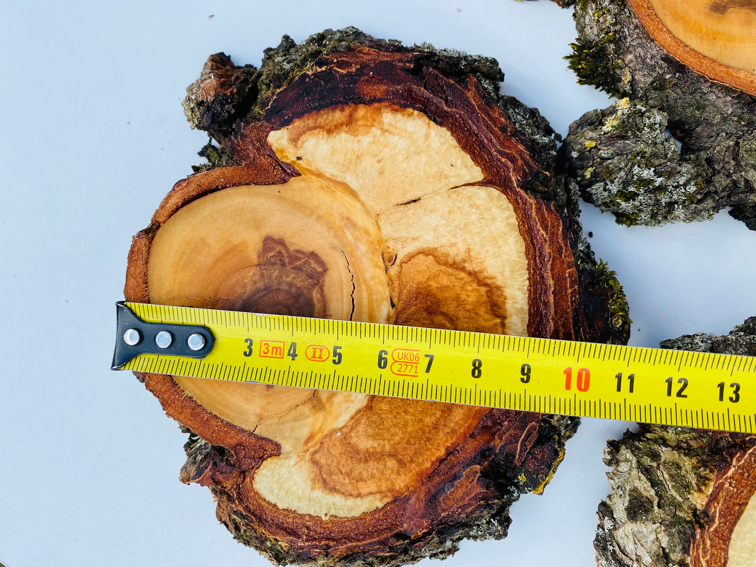 8 piezas de círculos de madera rodajas de madera piezas | Etsy