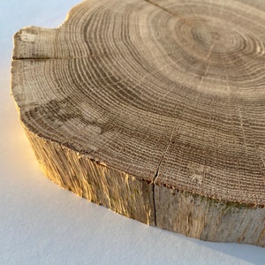 Może przedstawiać: Zbliżenie na naturalny plaster drewna z widocznymi słojami. Drewno jest jasnobrązowe i ma szorstką, fakturowaną powierzchnię.