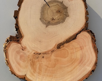 Unique alder wood slice Wooden Circles Wooden Slices Rustic Wood Slices DIY Alder Tree Unique wood slices Wood Slice Tree Slice Tree Burl