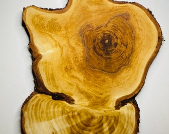 1 Círculos de Madera, Rebanadas de Madera, Piezas de Madera Rústica para Bricolaje, Fresno, Discos de Madera para Manualidades