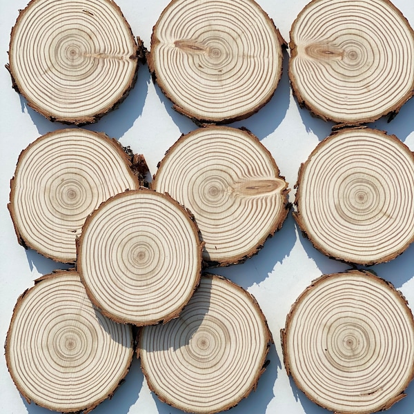 Larch Tree Slices Wood slices Wooden Circles Wooden Discs Wooden Slices Rustic Wood Slices For DIY Larch Tree Wood Discs For Craft|