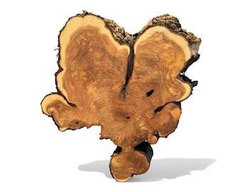 1 pieza de círculos de madera, rodajas de madera, piezas de madera rústica para bricolaje, fresno, discos de madera para manualidades