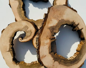 3 cerchi di legno, fette di legno, pezzi di legno rustico per il fai da te, frassino, dischi di legno per l'artigianato