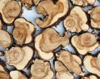 20 Small juniper tree slices | Small wooden slices | Rustic Wood Slices For DIY | Juniper Tree Slices | Wood Discs |  | Wooden Rings