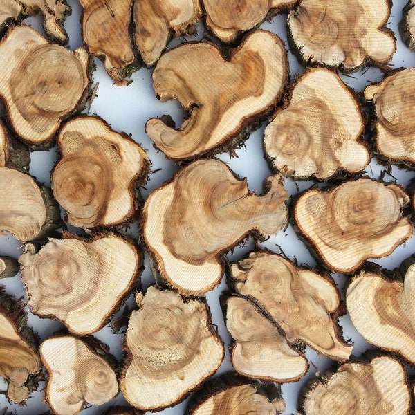 20 Small juniper tree slices | Small wooden slices | Rustic Wood Slices For DIY | Juniper Tree Slices | Wood Discs |  | Wooden Rings