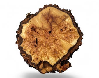 1 Círculos de Madera, Rebanadas de Madera, Piezas de Madera Rústica para Bricolaje, Fresno, Discos de Madera para Manualidades
