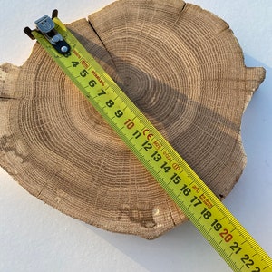 Może przedstawiać: Zbliżenie na drewnianą plastrę z widocznymi słojami, zmierzoną ż&oacute;łtą miarką. Miarka wskazuje 61 cm.