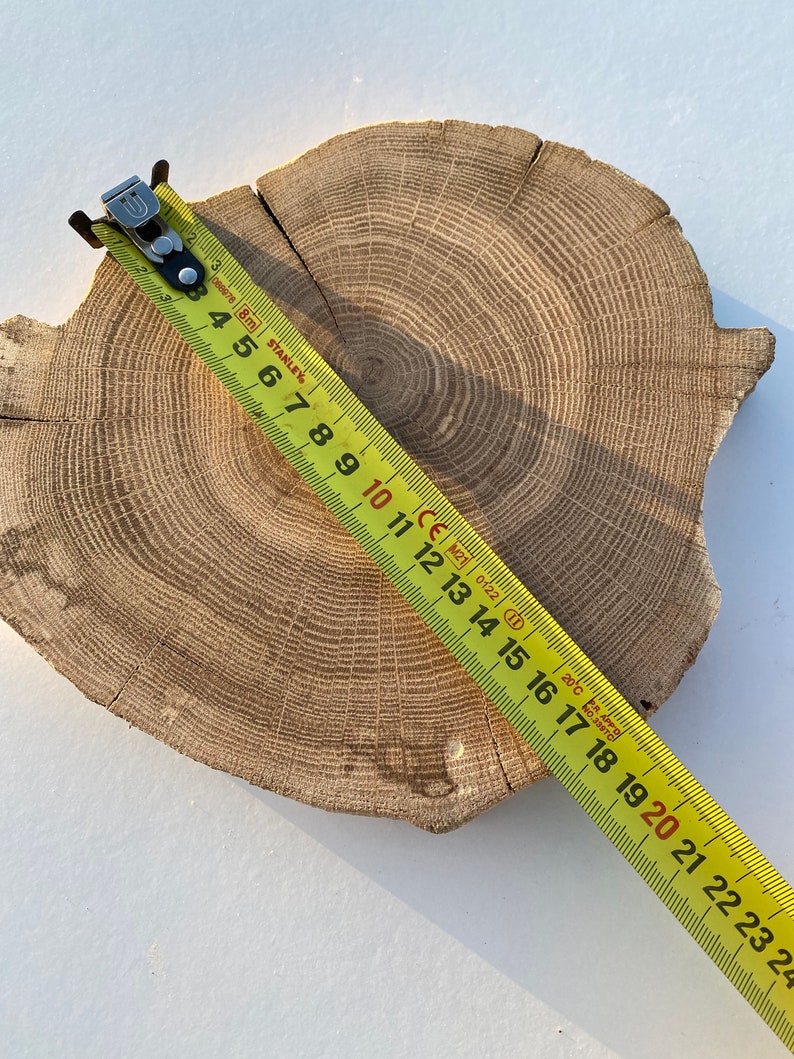 Może przedstawiać: Zbliżenie na drewnianą plastrę z widocznymi słojami, zmierzoną ż&oacute;łtą miarką. Miarka wskazuje 61 cm.