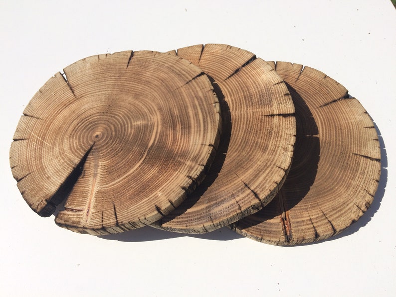 3 PCS Burnt Discs Burnt Wood Pine Discs Burnt Tree Etsy