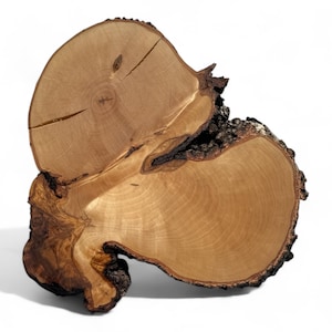 May include: A section of a light brown tree trunk, displaying the natural wood grain and growth rings. The bark is dark brown and textured. The cut reveals a unique shape with a split.