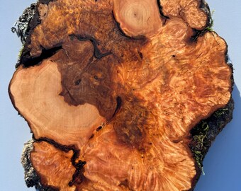 1 pieza de círculos de madera, rodajas de madera, piezas de madera rústica para bricolaje, fresno, discos de madera para manualidades