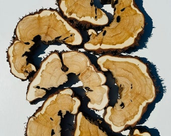 7 piezas de círculos de madera, rodajas de madera, piezas de madera rústica para bricolaje, discos de madera de fresno para manualidades