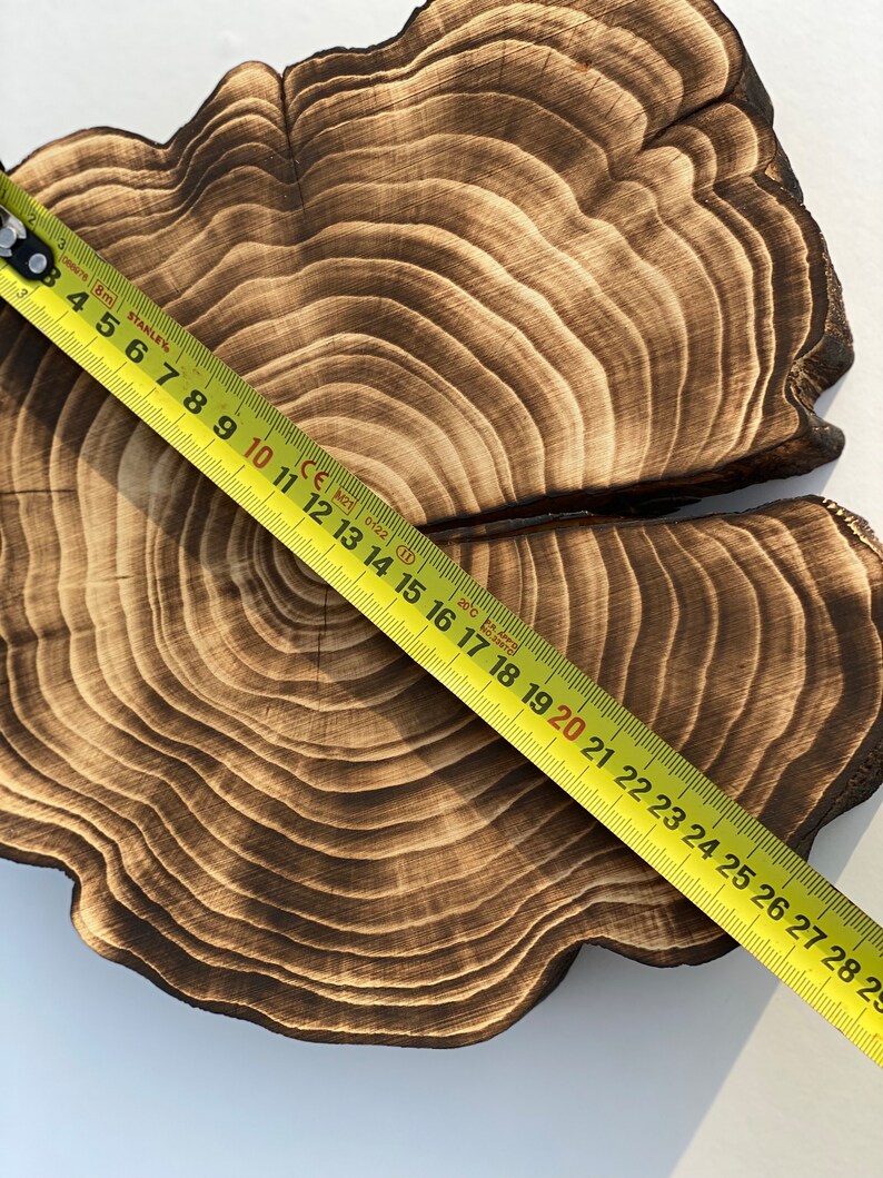 Puede incluir: Un primer plano de una rodaja de madera redonda grande con un acabado marr&oacute;n oscuro quemado. La veta de la madera es visible y la rodaja tiene un aspecto natural y r&uacute;stico. Una cinta m&eacute;trica amarilla se coloca sobre la rodaja, mostrando una medida de 71 cm.