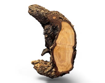 1 pieza de círculos de madera, rodajas de madera, piezas de madera rústica para bricolaje, fresno, discos de madera para manualidades