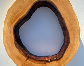 1 Círculos de Madera, Rebanadas de Madera, Piezas de Madera Rústica para Bricolaje, Fresno, Discos de Madera para Manualidades