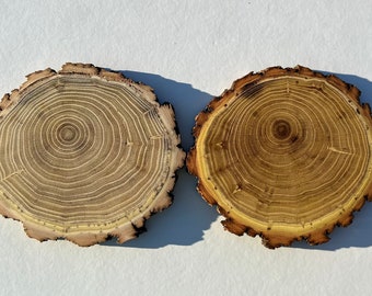 3 rebanadas, discos, círculos, manualidades, decoración del hogar, decoración de mesa, utensilios de cocina, madera hecha a mano, madera, roble